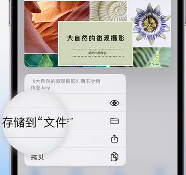 五湖渔场apple维修中心分享iPhone文件应用中存储和找到下载文件