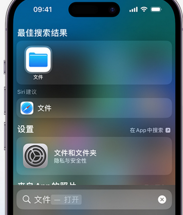 五湖渔场apple维修中心分享iPhone文件应用中存储和找到下载文件 