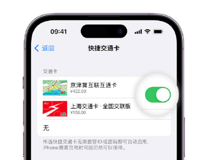 五湖渔场apple维修点分享iPhone上更换Apple Pay快捷交通卡手绘卡面 