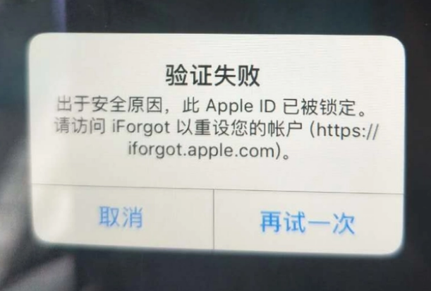 五湖渔场iPhone维修分享iPhone上正常登录或使用AppleID怎么办 