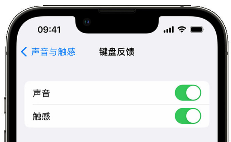 五湖渔场苹果手机维修分享iPhone 14触感键盘使用方法 