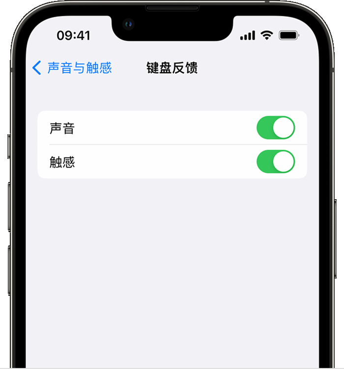 五湖渔场苹果14维修店分享如何在 iPhone 14 机型中使用触感键盘 