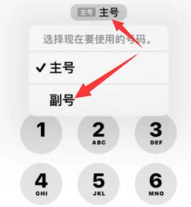 五湖渔场苹果14维修店分享iPhone 14 Pro Max使用副卡打电话的方法 