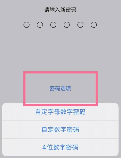 五湖渔场苹果14维修分享iPhone 14plus设置密码的方法 