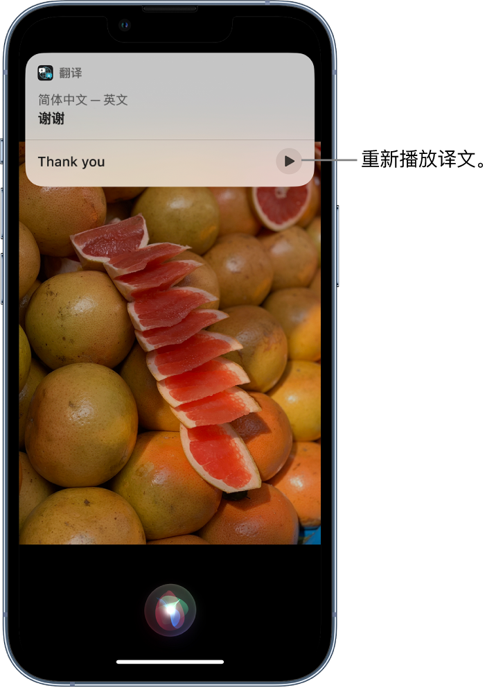 五湖渔场苹果14维修分享 iPhone 14 机型中使用 Siri：了解 Siri 能帮你做什么 