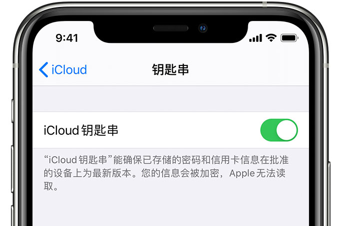 五湖渔场苹果手机维修分享在 iPhone 上开启 iCloud 钥匙串之后会储存哪些信息 