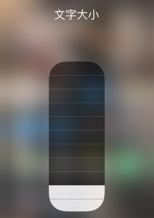 五湖渔场苹果手机维修分享小技巧：在 iPhone 控制中心快速调节字体大小 