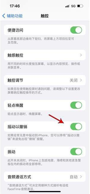 五湖渔场苹果手机维修分享iPhone手机如何设置摇一摇删除文字 