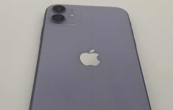 五湖渔场苹果11系统维修分享iPhone11手机系统崩溃无法开机如何解决
